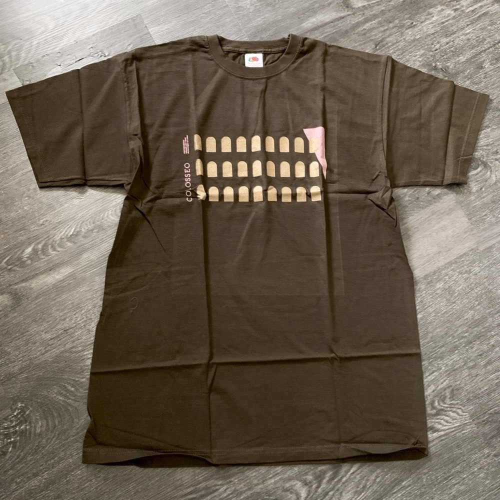 Fruit of the Loom Rome Italy Roma Colosseo Italian T-Shirt Brown Unisex L. NWT